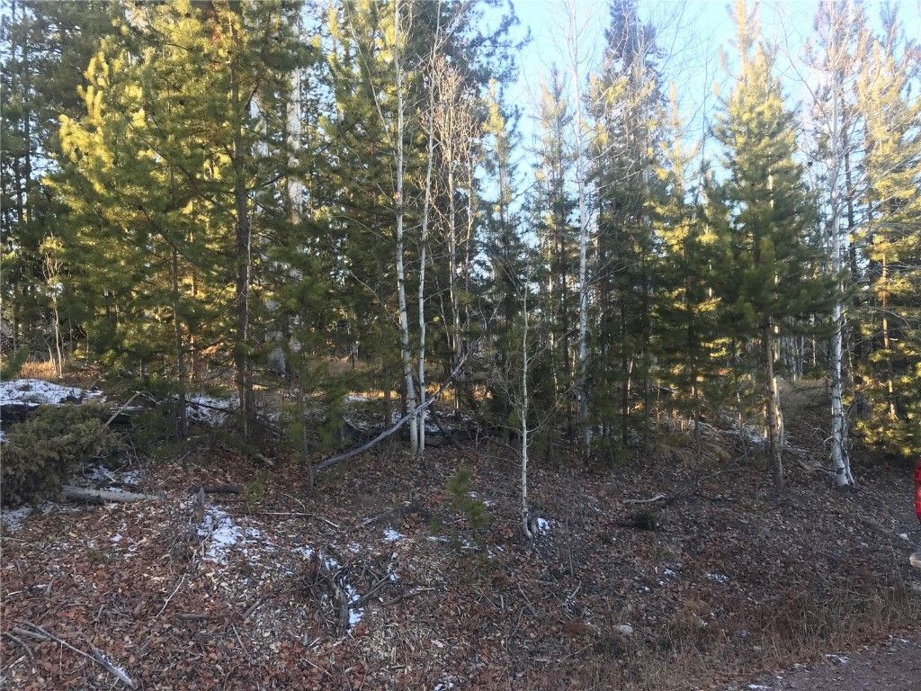 Photo of 32470 Ute Trail, Oak Creek, CO 80467 (MLS # S1064440)
