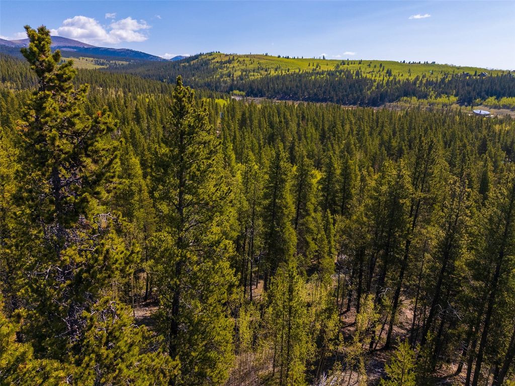 Photo of 89 Ski Doo Road, Fairplay, CO 80440 (MLS # S1066210)