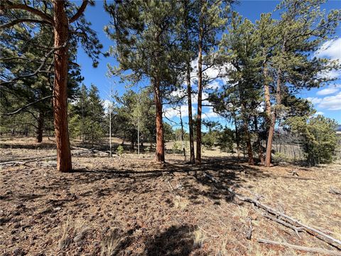 Photo of 239 Shenandoah Path, Hartsel, CO 80449 (MLS # S1068270)