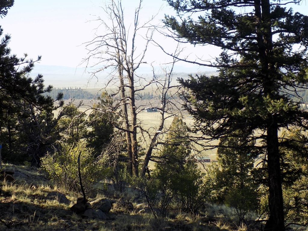 Photo of 2381 Redhill Road, Fairplay, CO 80440 (MLS # S1064306)