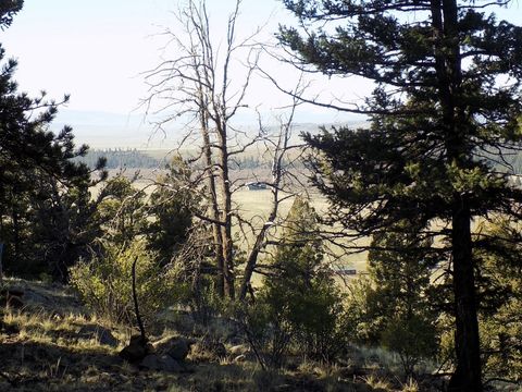 Photo of 2381 Redhill Road, Fairplay, CO 80440 (MLS # S1064306)