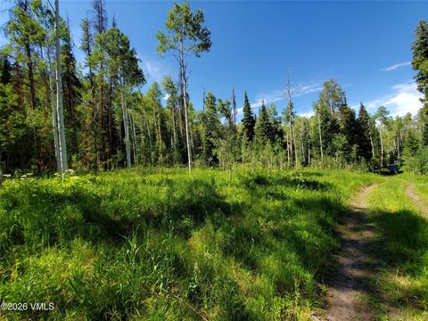 Photo of 20381 King Bolt Trail, Oak Creek, CO 80467 (MLS # S1070251)
