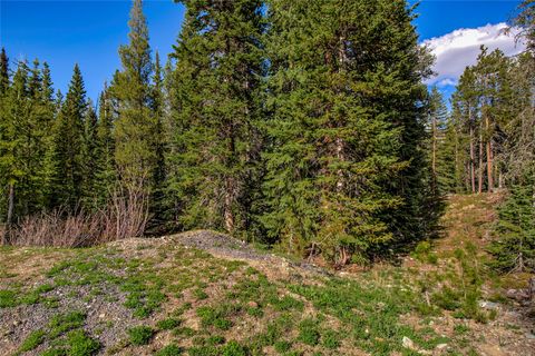 Photo of 163 Lakeview Drive, Breckenridge, CO 80424 (MLS # S1068592)