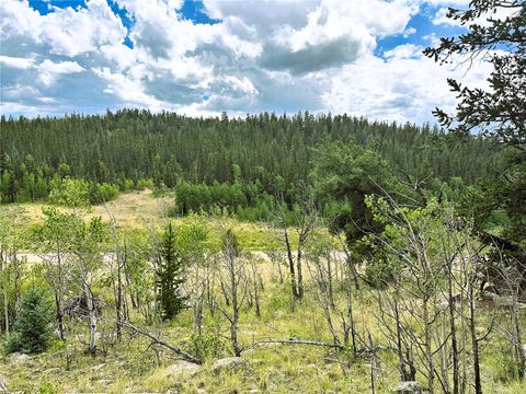 Photo of 766 W Longbow Drive, Como, CO 80432 (MLS # S1068546)