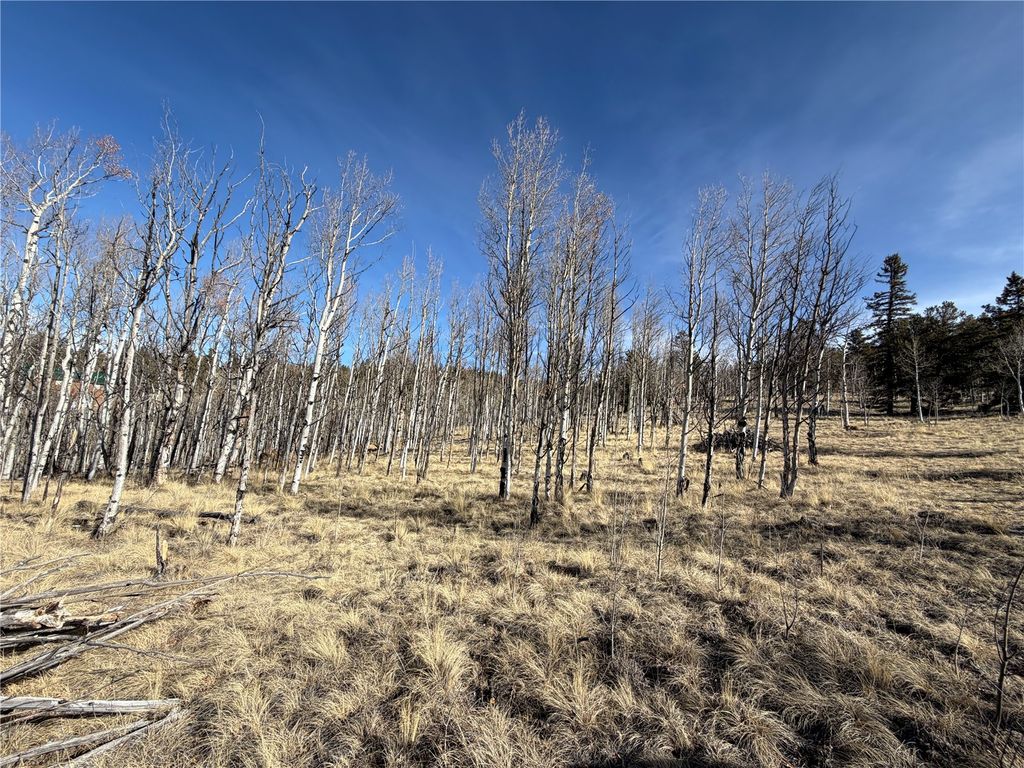 Photo of 32 Sugar Loaf Lane, Jefferson, CO 80456 (MLS # S1066399)