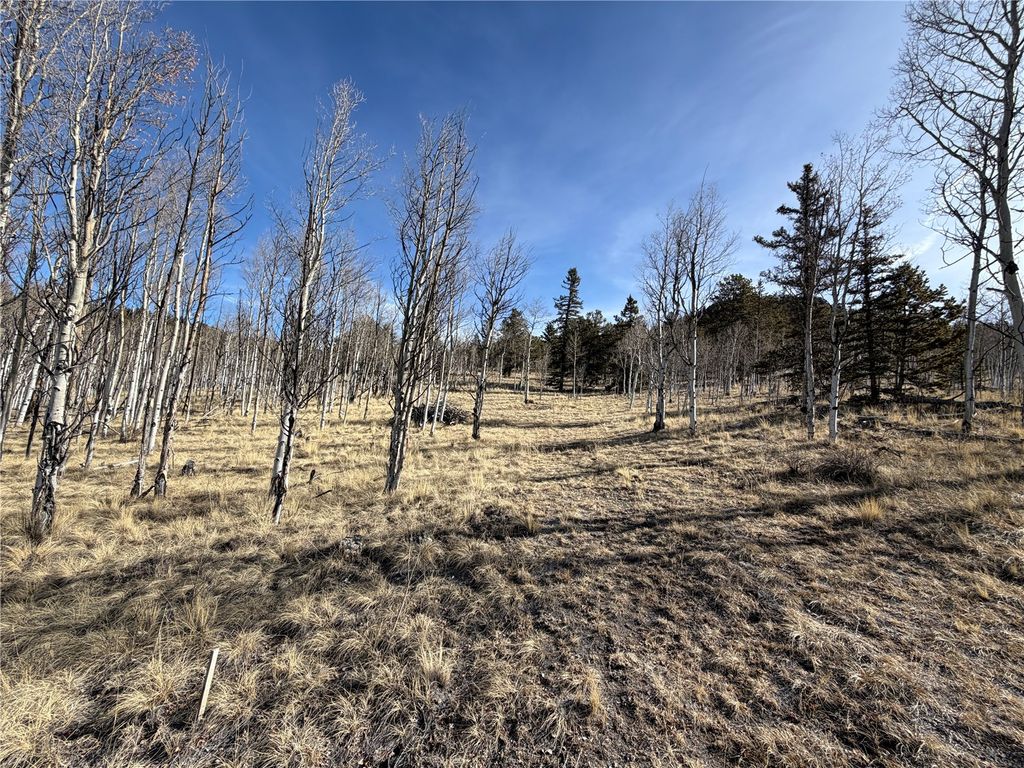 Photo of 32 Sugar Loaf Lane, Jefferson, CO 80456 (MLS # S1066399)