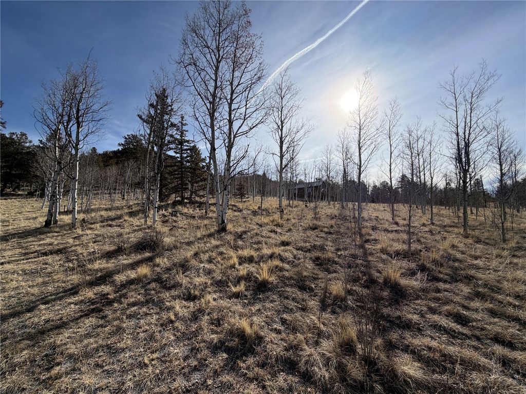 Photo of 32 Sugar Loaf Lane, Jefferson, CO 80456 (MLS # S1066399)