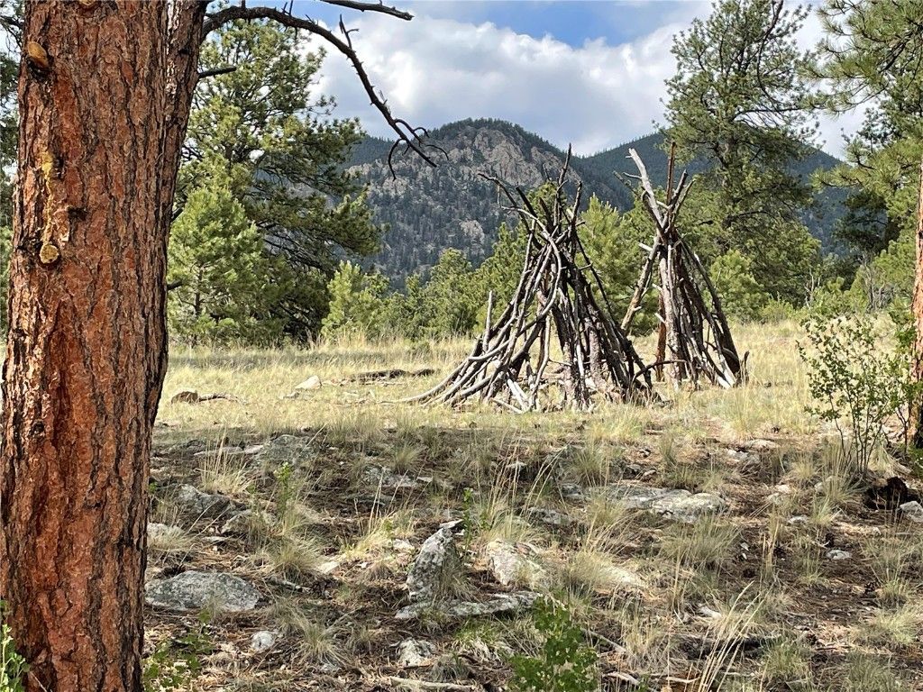 Photo of 11993 Clear Creek Road, Hartsel, CO 80449 (MLS # S1063848)