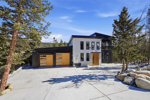 Photo of 410 N Aspen Street, Alma, CO 80420 (MLS # S1067532)