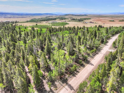 Photo of 198 Green Bottle Circle, Fairplay, CO 80440 (MLS # S1070852)