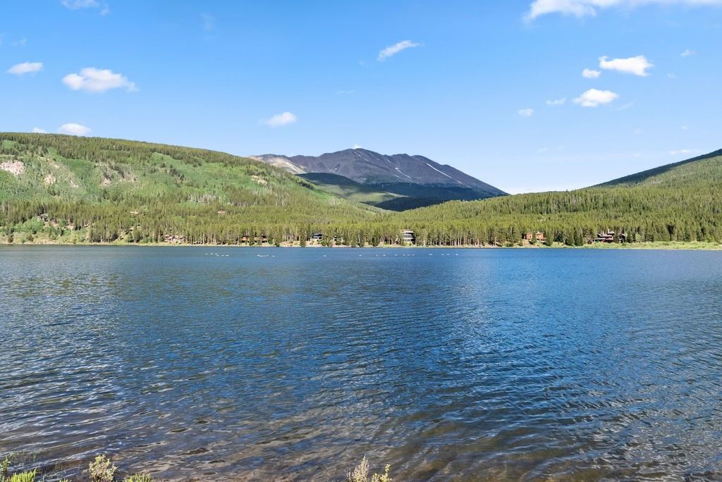 Photo of 112 Grey Squirrel Lane, Blue River, CO 80424 (MLS # S1066155)