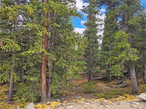 Photo of 617 Gold Trail Circle, Fairplay, CO 80440 (MLS # S1071776)