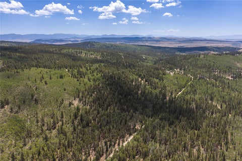 Photo of 195 Ten High Lane, Fairplay, CO 80440 (MLS # S1071705)