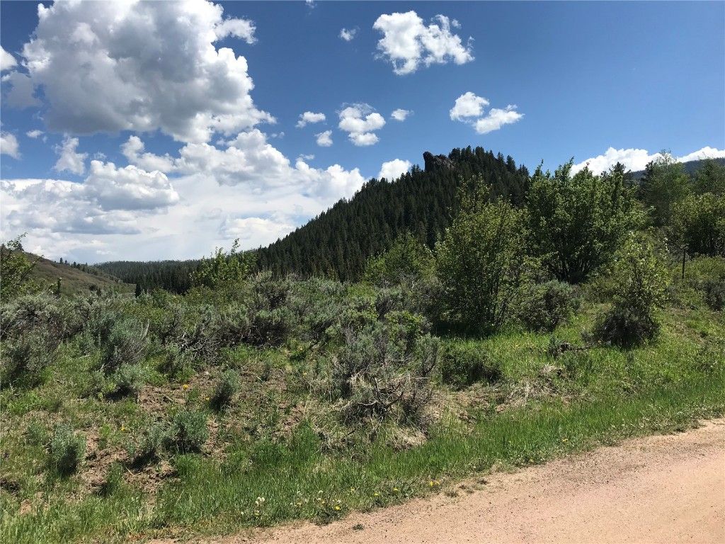 Photo of 22970 Snowbird Way, Oak Creek, CO 80467 (MLS # S1065969)