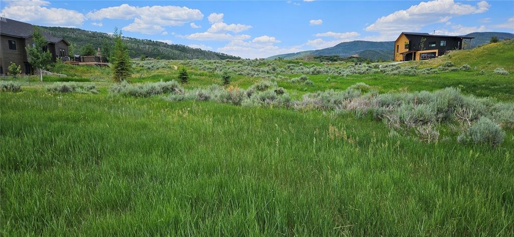 Photo of 23425 Division Drive, Oak Creek, CO 80467 (MLS # S1061116)