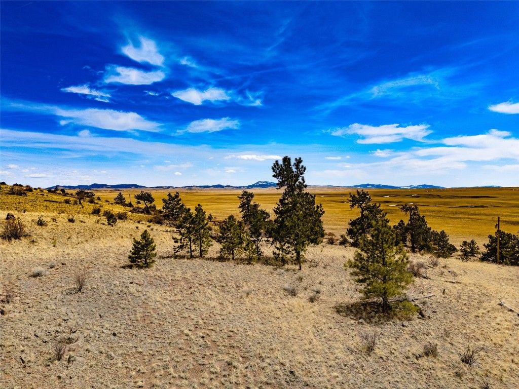 Photo of 102 Pack Saddle Court, Fairplay, CO 80449 (MLS # S1064145)