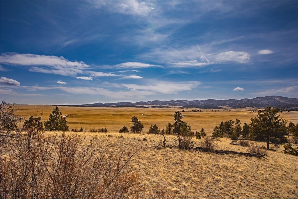 Photo of 102 Pack Saddle Court, Fairplay, CO 80449 (MLS # S1064145)