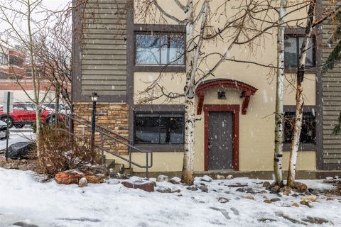 Photo of 730 Yampa Street #106, Steamboat Springs, CO 80487 (MLS # S1066346)