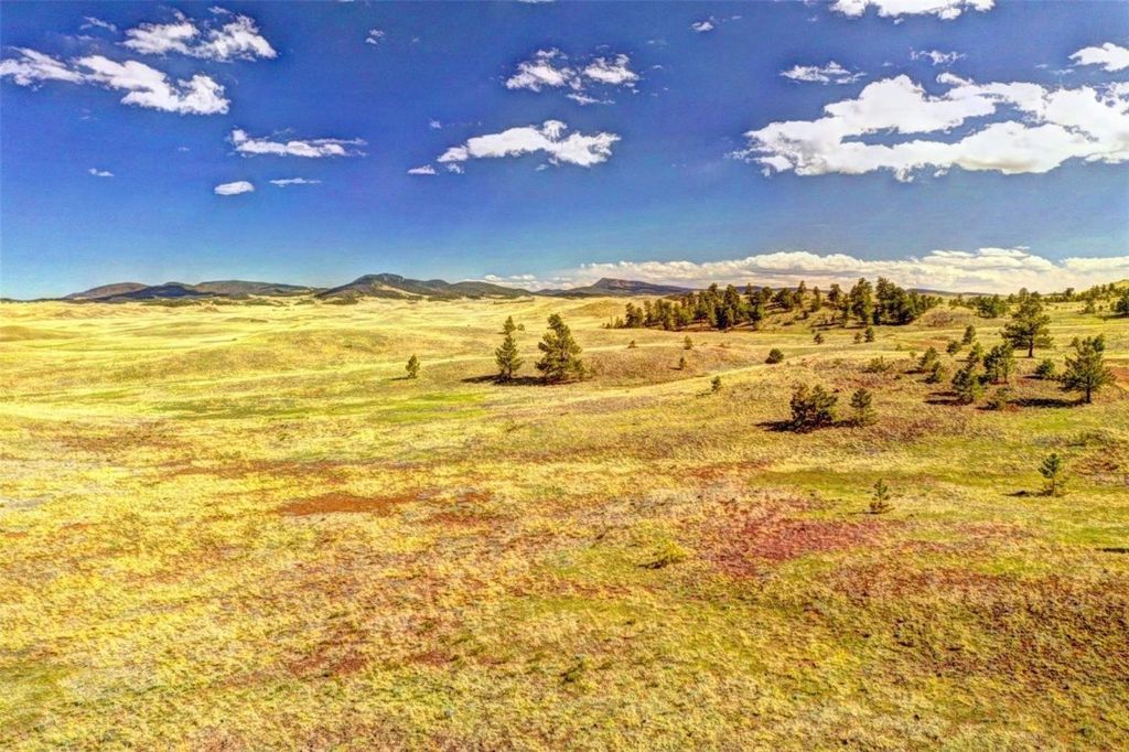 Photo of Quail Ct, Hartsel, CO 80449 (MLS # S1064587)