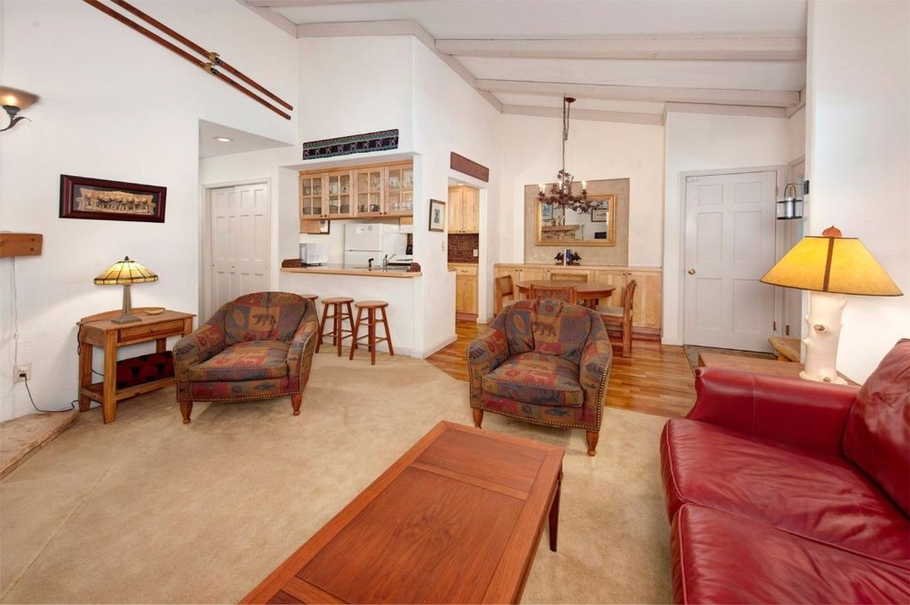 Photo of 311 S High Street #209, Breckenridge, CO 80424 (MLS # S1064539)