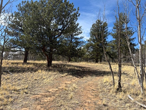 Photo of 147 Bordenville Road, Jefferson, CO 80456 (MLS # S1070307)