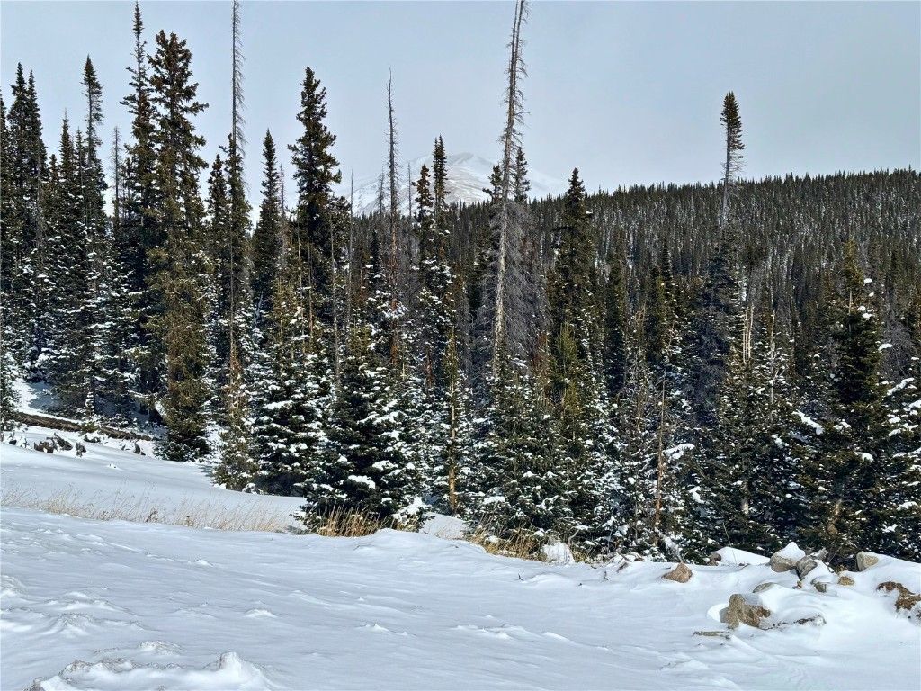Photo of 72 Sunshine Drive, Fairplay, CO 80440 (MLS # S1064553)