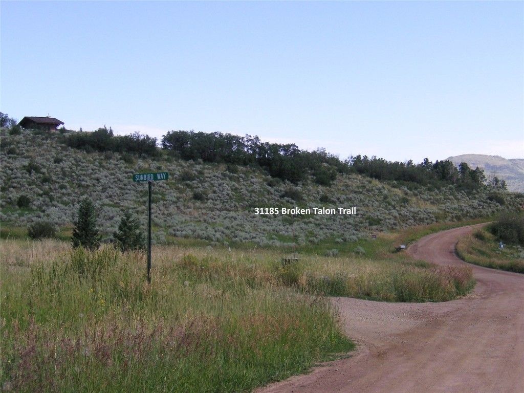 Photo of 31185 Broken Talon Trail, Oak Creek, CO 80467 (MLS # S1061156)