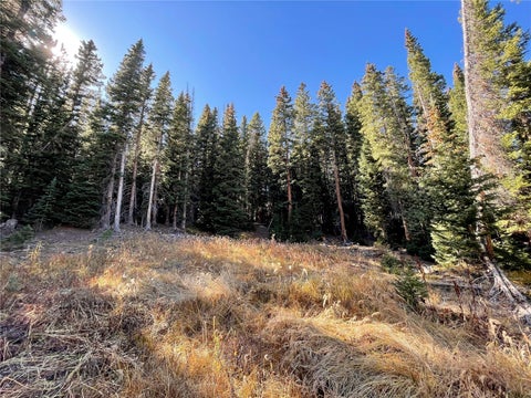Photo of 11 Kimmes Lane, Breckenridge, CO 80424 (MLS # S1070963)
