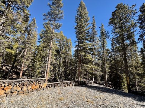 Photo of 352 Puma Place, Fairplay, CO 80440 (MLS # S1064272)