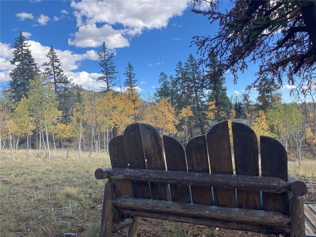Photo of 1140 Ute Trail, Como, CO 80456 (MLS # S1063878)