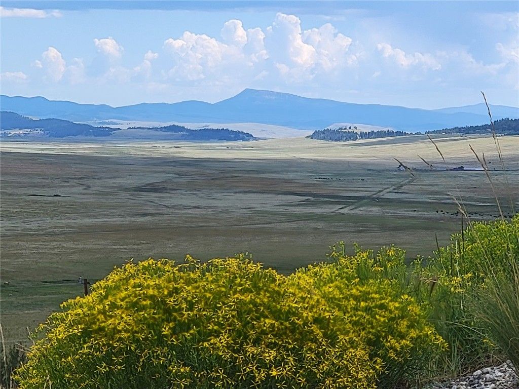 Photo of 3481 Redhill Road, Fairplay, CO 80440 (MLS # S1065730)