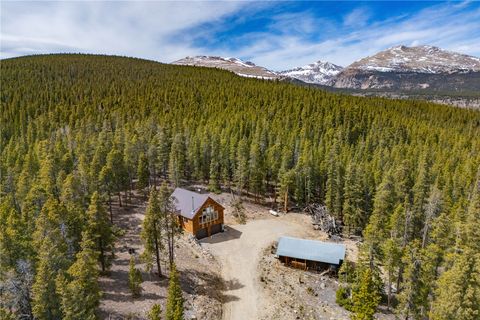 Photo of 64 Bourbons Way, Fairplay, CO 80440 (MLS # S1068944)