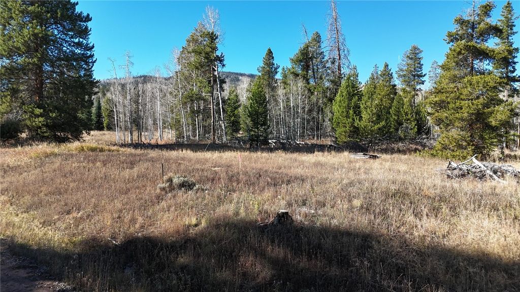 Photo of 22523 Cheyenne Trail, Oak Creek, CO 80467 (MLS # S1064060)