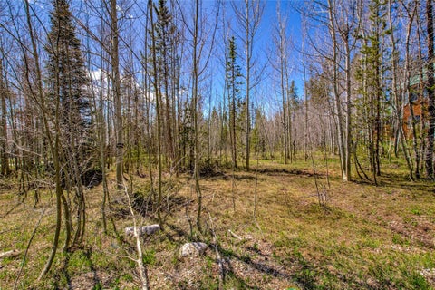 Photo of 516 Royal Red Bird Drive, Silverthorne, CO 80498 (MLS # S1057862)