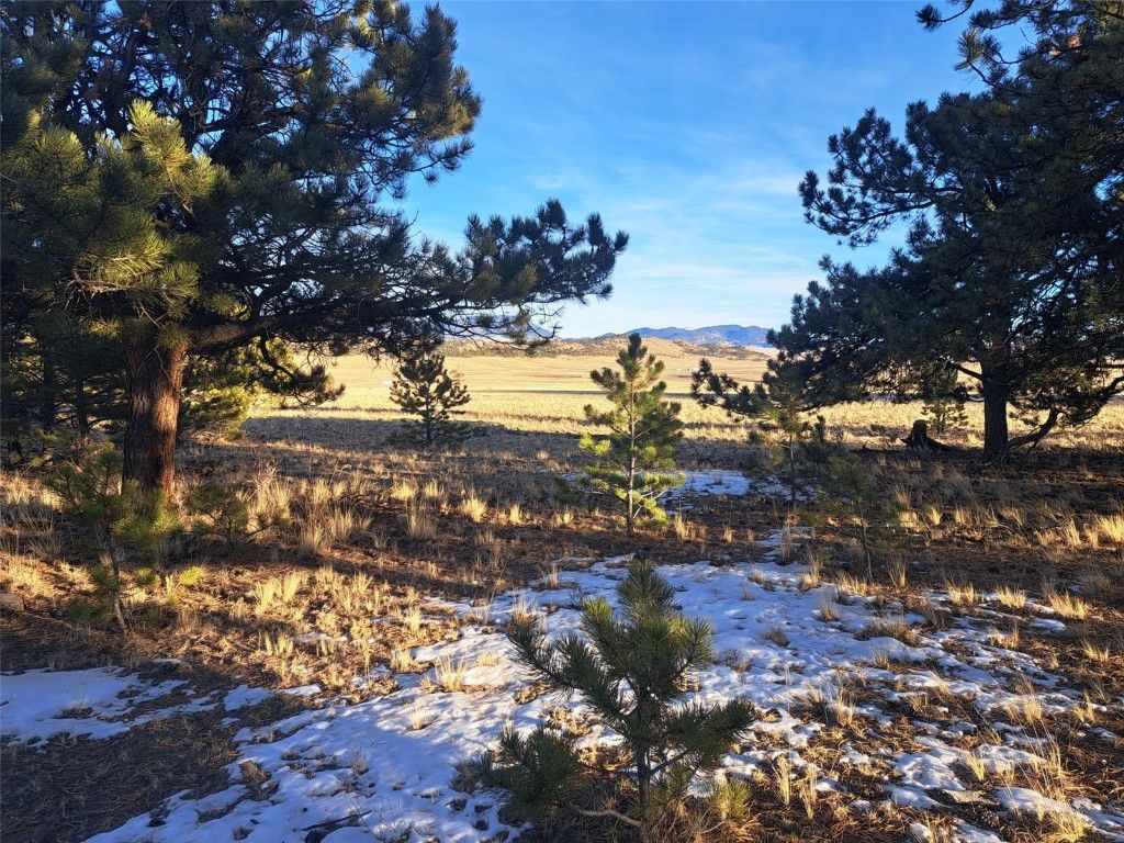 Photo of 186 Boulder Road, Hartsel, CO 80449 (MLS # S1064598)