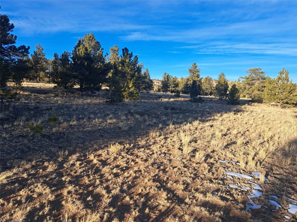 Photo of 186 Boulder Road, Hartsel, CO 80449 (MLS # S1064598)