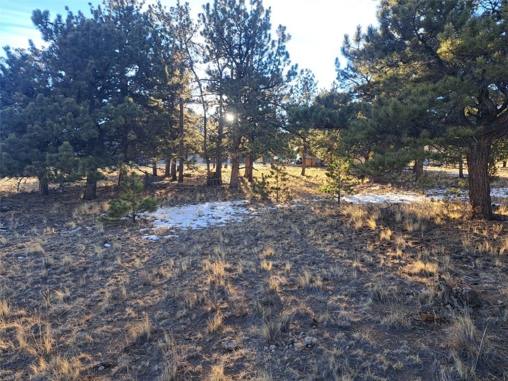 Photo of 186 Boulder Road, Hartsel, CO 80449 (MLS # S1064598)