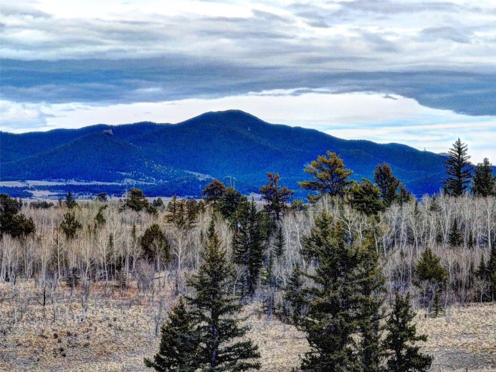 Photo of 646 Antelope Way, Como, CO 80432 (MLS # S1064261)