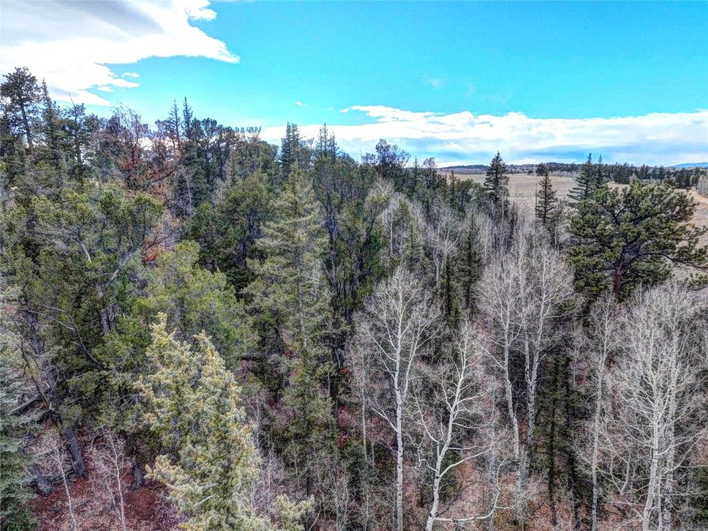 Photo of 646 Antelope Way, Como, CO 80432 (MLS # S1064261)