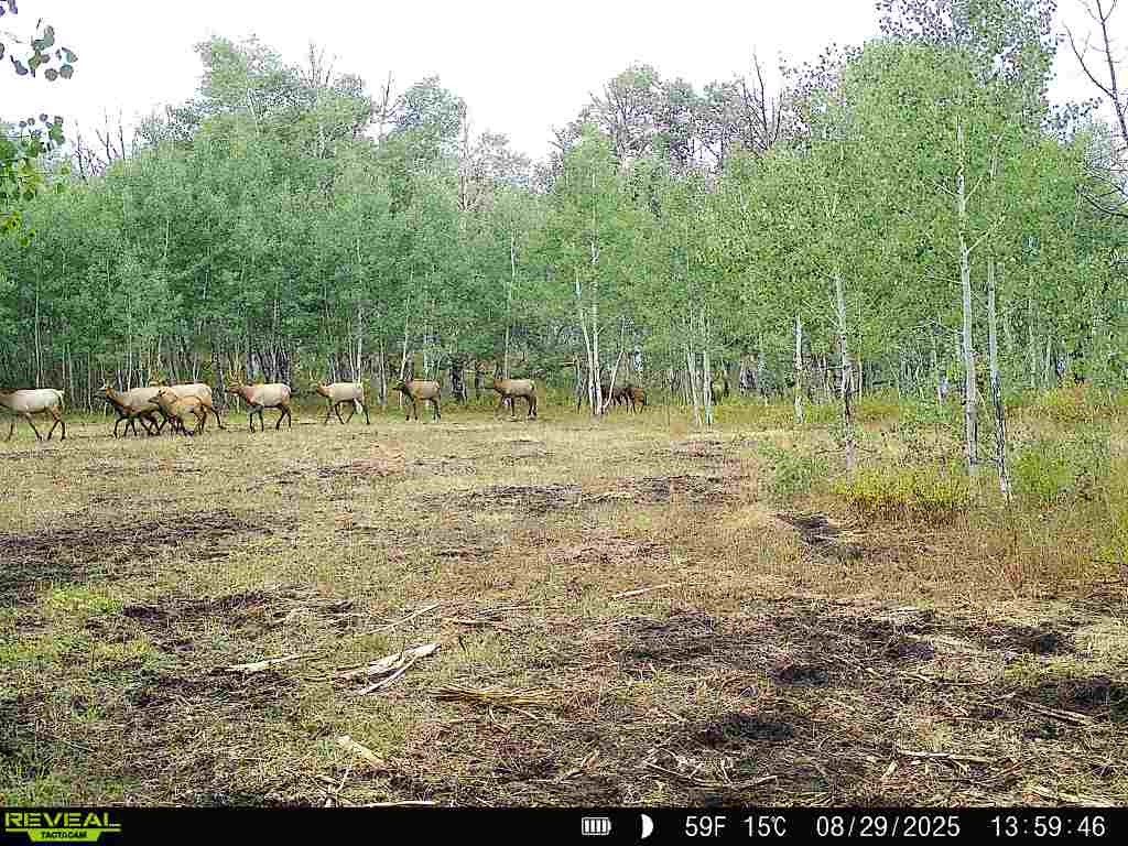 Photo of County Road 11, Craig, CO 81625 (MLS # S1067439)