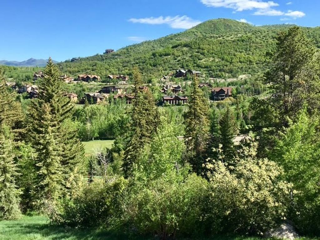 Photo of 1100 Steamboat Boulevard, Steamboat Springs, CO 80487 (MLS # S1064253)