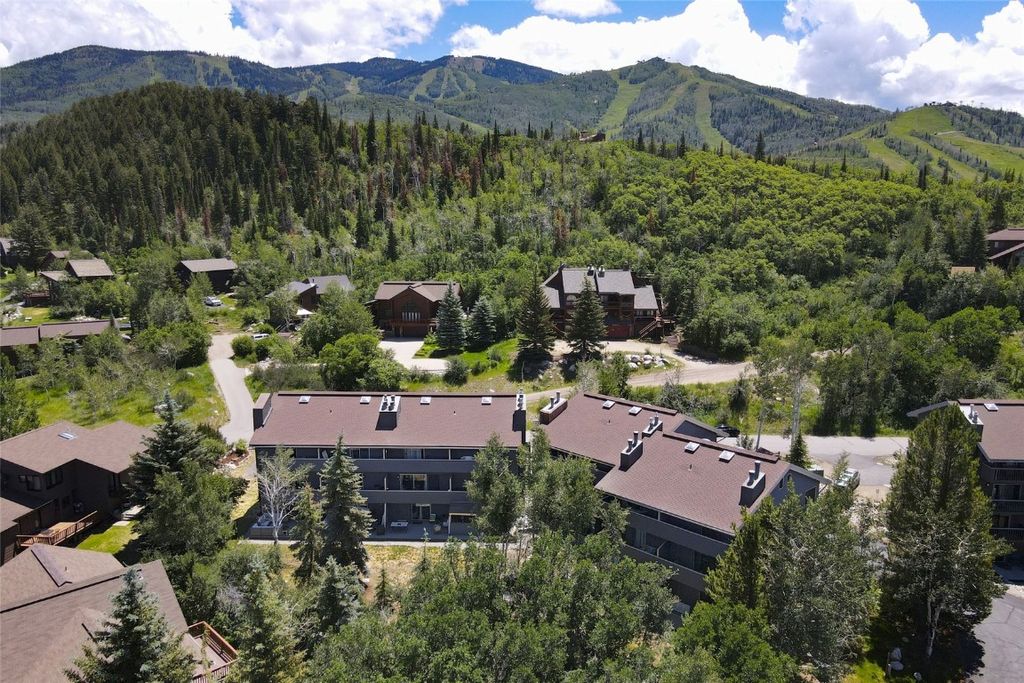 Photo of 2146 Aster Place #3, Steamboat Springs, CO 80487 (MLS # S1057995)