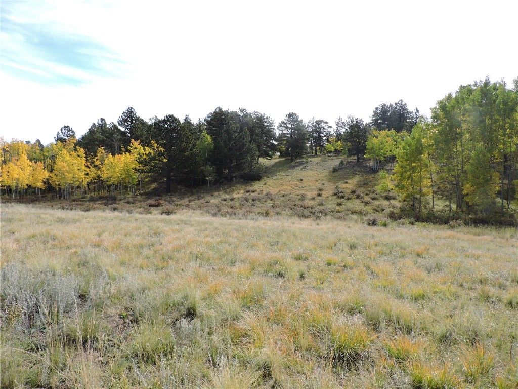 Photo of 400 Aspen Way Drive, Lake George, CO 80827 (MLS # S1063860)