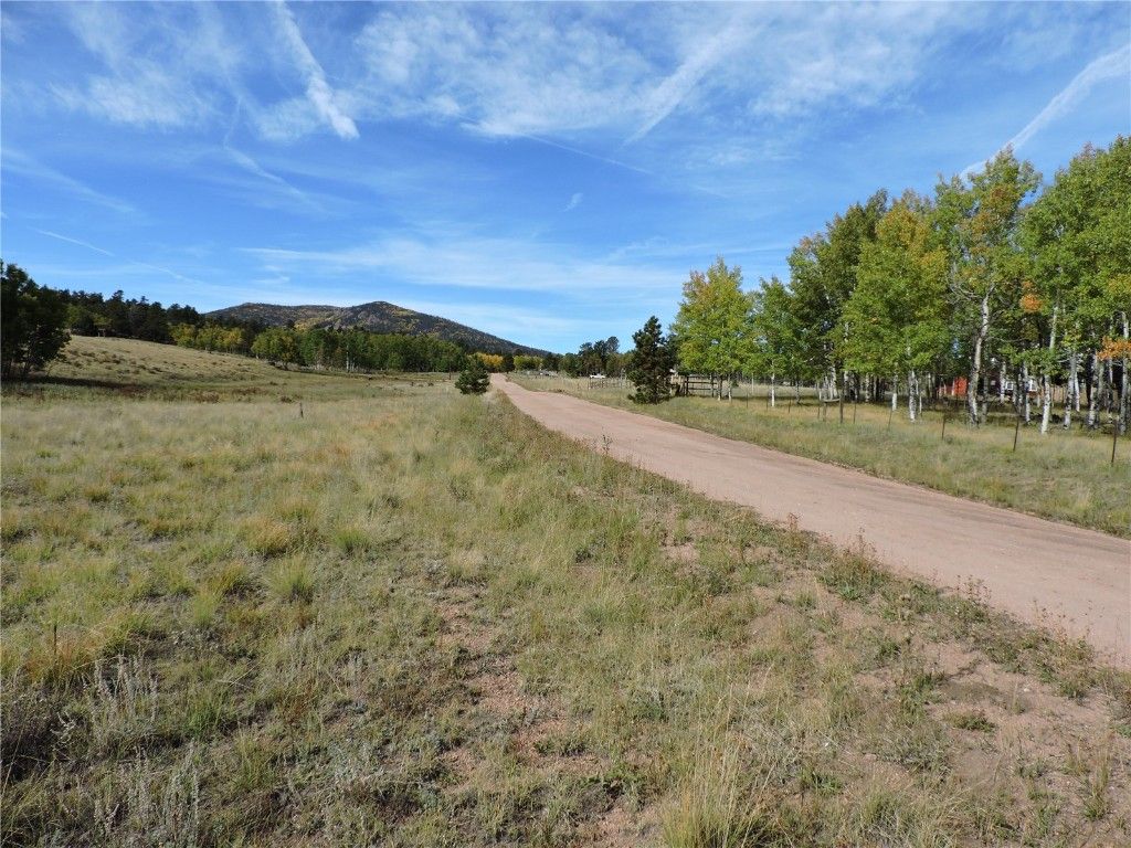 Photo of 400 Aspen Way Drive, Lake George, CO 80827 (MLS # S1063860)