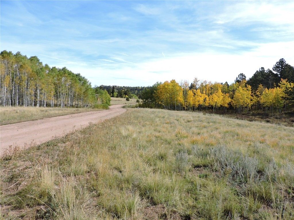 Photo of 400 Aspen Way Drive, Lake George, CO 80827 (MLS # S1063860)
