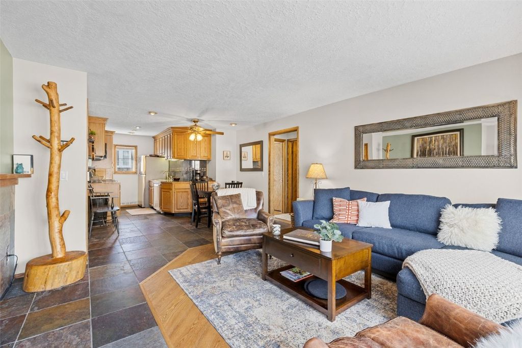 Photo of 240 E La Bonte Street #47, Dillon, CO 80435 (MLS # S1065858)