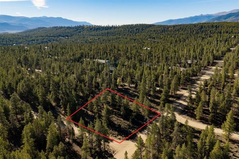 Photo of 454 Spruce Drive, Twin Lakes, CO 81251 (MLS # S1071553)