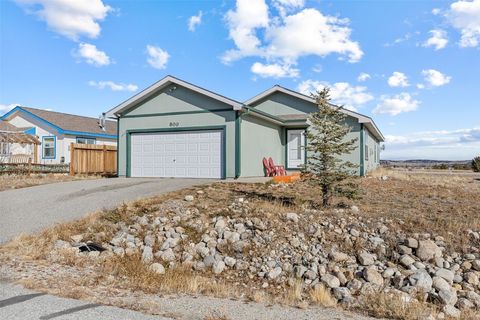 Photo of 800 Trout Creek Drive, Fairplay, CO 80440 (MLS # S1064372)