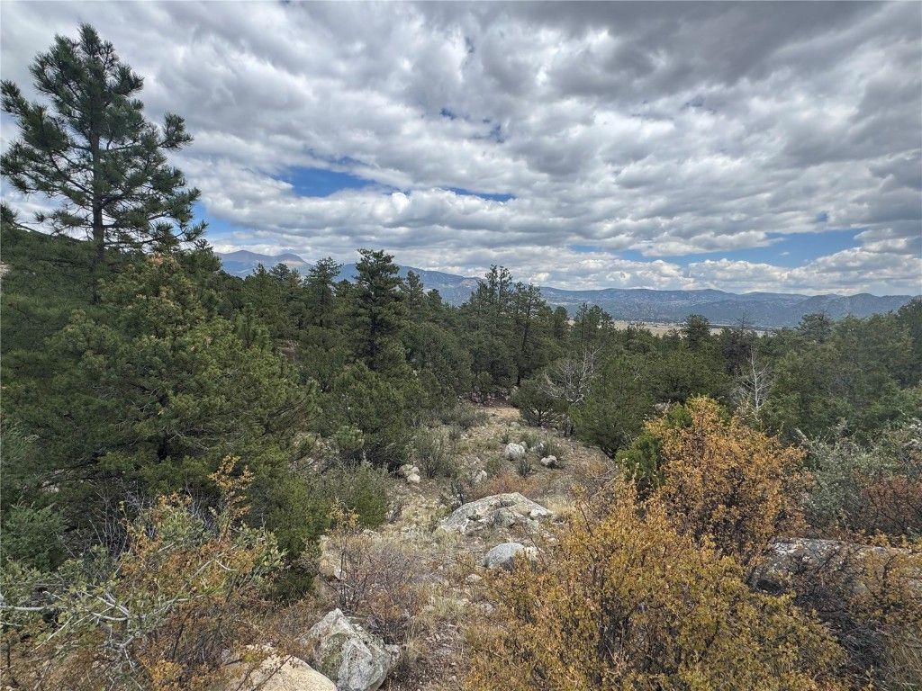 Photo of 30110 Princeton Hls, Buena Vista, CO 81211 (MLS # S1065788)