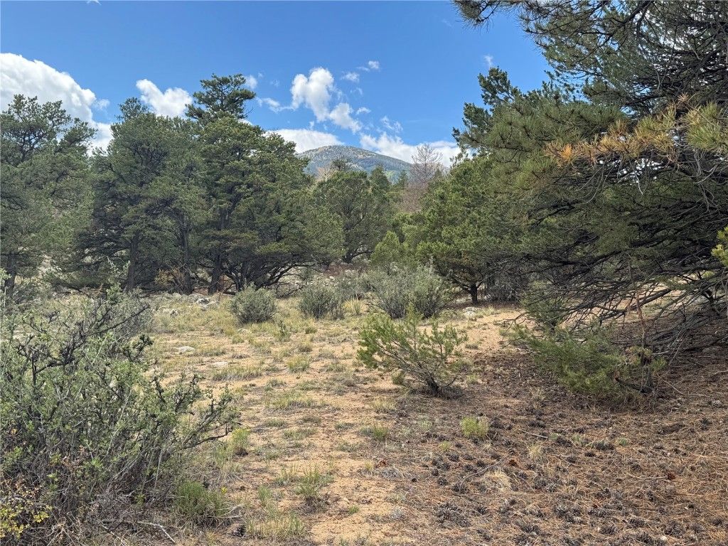 Photo of 30110 Princeton Hls, Buena Vista, CO 81211 (MLS # S1065788)